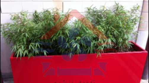 فلاور باکس | گلدان گالوانیزه | Flowev Box